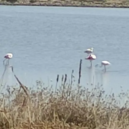 Maison De A L'ayguade Classee 3 Etoiles, Climatisee,3mn A Pied Et Restos ,5mn Aeroport, 10mn Gare Vakantiehuis